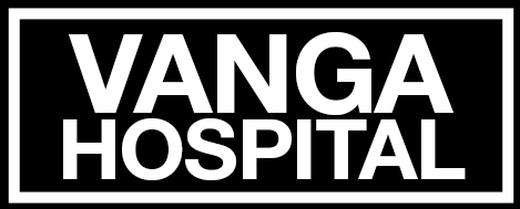 logo Vanga